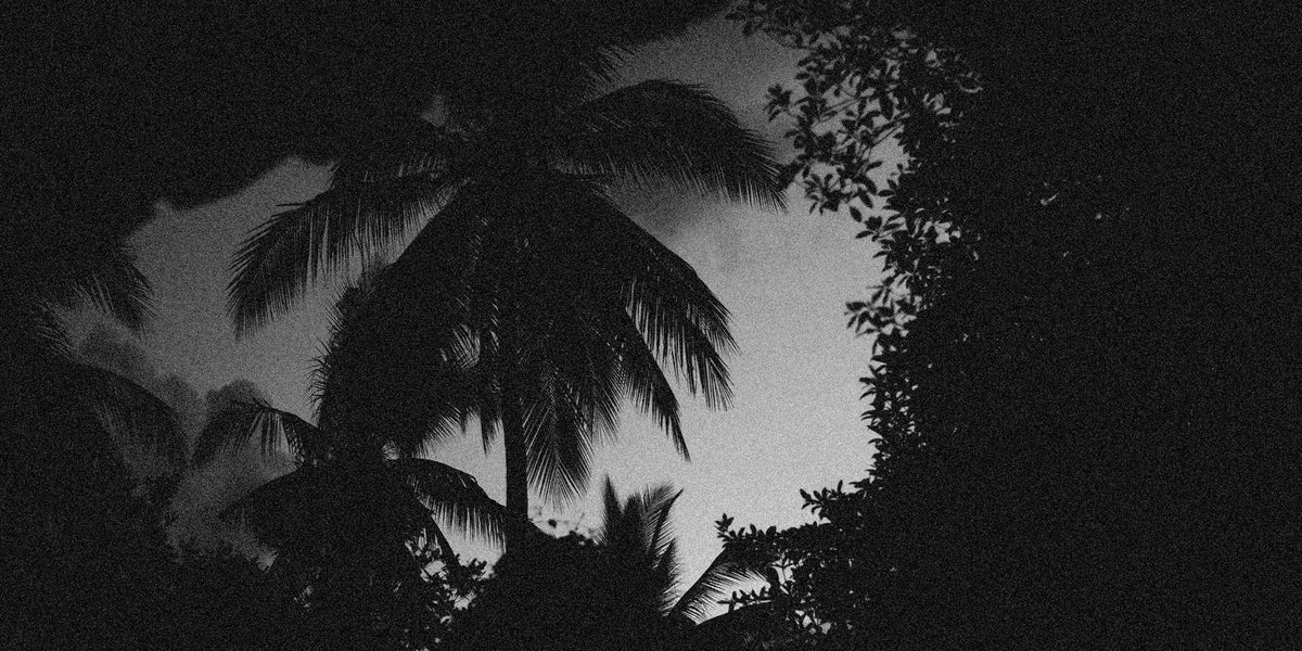 3 Reasons Why Coconut Oil Makes a Great Wood Finish– Walrus Oil